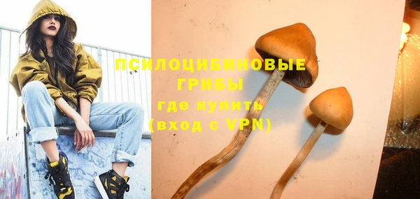 индика Абаза