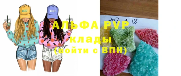 индика Абаза