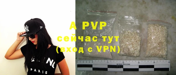 индика Абаза