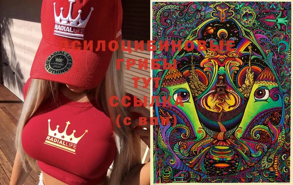 каннабис Алексеевка