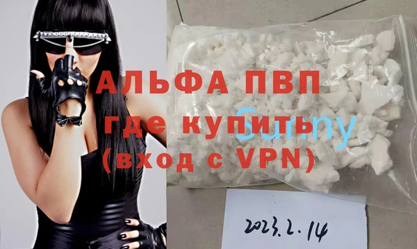 индика Абаза